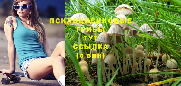 mix Зерноград