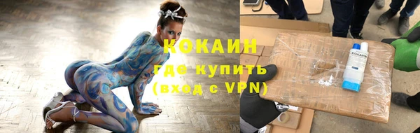 тгк Инсар
