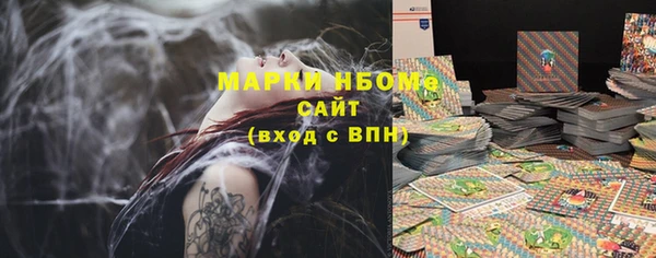 mix Инта