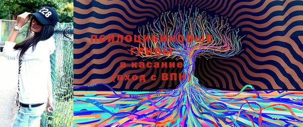 mix Зерноград