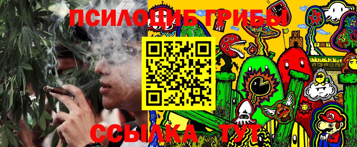 Саранск  Галлюциногенные грибы Cubensis  Вход с VPN  Галлюциногенные грибы Psilocybe 