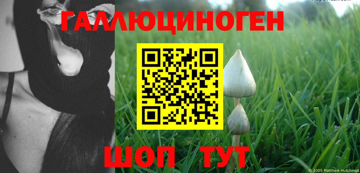 Галлюциногенные грибы Magic Shrooms Саранск