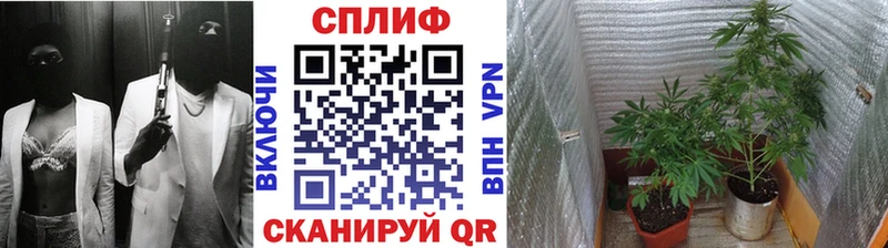 Канабис THC 21%  Купить закладки  Саранск 